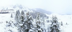 Archived image Webcam Arosa Bear Sanctuary 07:00