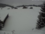 Archiv Foto Webcam Golfhaus in Arosa 11:00