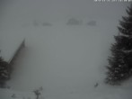 Archiv Foto Webcam Golfhaus in Arosa 15:00