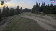 Archiv Foto Webcam ArBär Kinderland des Skigebiets am Arber 06:00