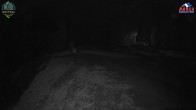 Archived image Webcam ArBär kids area at Arber mountain 17:00