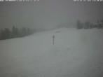 Archived image Webcam Grisons: Flims - Rens 13:00