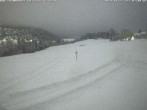 Archived image Webcam Grisons: Flims - Rens 06:00