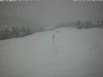 Archived image Webcam Grisons: Flims - Rens 07:00