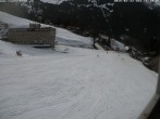 Archiv Foto Webcam Innerwengen: Zielraum Lauberhornrennen 15:00