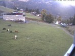 Archiv Foto Webcam Innerwengen: Zielraum Lauberhornrennen 07:00