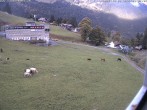 Archiv Foto Webcam Innerwengen: Zielraum Lauberhornrennen 08:00
