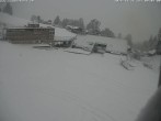 Archiv Foto Webcam Innerwengen: Zielraum Lauberhornrennen 08:00