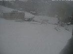 Archiv Foto Webcam Innerwengen: Zielraum Lauberhornrennen 14:00