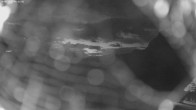 Archived image Webcam Jägeralpe: View Wartherhorn 03:00