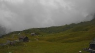 Archived image Webcam Jägeralpe: View Wartherhorn 13:00