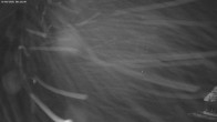 Archiv Foto Webcam Jägeralpe: View Biberkopf 23:00
