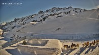 Archiv Foto Webcam Hotel Adler in Warth 13:00