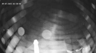 Archiv Foto Webcam Hotel Adler in Warth 01:00