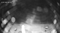 Archiv Foto Webcam Hotel Adler in Warth 23:00