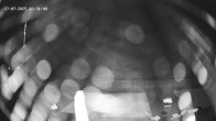 Archiv Foto Webcam Hotel Adler in Warth 01:00