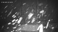Archiv Foto Webcam Hotel Adler in Warth 01:00