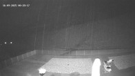Archived image Webcam Hotel Adler at Warth 23:00