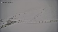 Archived image Webcam Hotel Adler at Warth 11:00