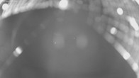 Archiv Foto Webcam Jägeralpe bei Warth 23:00