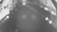 Archiv Foto Webcam Jägeralpe bei Warth 01:00