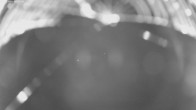 Archived image Webcam Jägeralpe near Warth 01:00