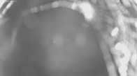 Archiv Foto Webcam Jägeralpe bei Warth 23:00