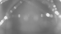 Archived image Webcam Jägeralpe near Warth 01:00