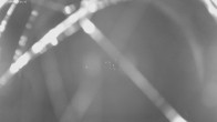 Archiv Foto Webcam Jägeralpe bei Warth 03:00