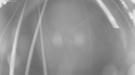 Archiv Foto Webcam Jägeralpe bei Warth 01:00
