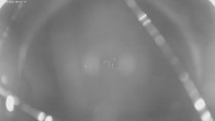 Archiv Foto Webcam Jägeralpe bei Warth 23:00