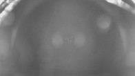 Archiv Foto Webcam Jägeralpe bei Warth 23:00