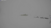 Archived image Webcam Jägeralpe near Warth 11:00