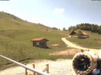 Archiv Foto Webcam Sudelfeld: Waldkopf Talstation 11:00