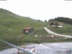 Archiv Foto Webcam Sudelfeld: Waldkopf Talstation 11:00