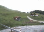 Archiv Foto Webcam Sudelfeld: Waldkopf Talstation 11:00