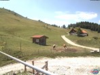 Archiv Foto Webcam Sudelfeld: Waldkopf Talstation 11:00