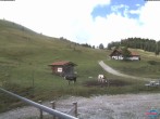 Archiv Foto Webcam Sudelfeld: Waldkopf Talstation 09:00