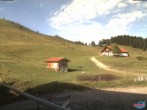 Archiv Foto Webcam Sudelfeld: Waldkopf Talstation 07:00