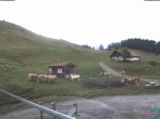 Archiv Foto Webcam Sudelfeld: Waldkopf Talstation 13:00