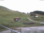 Archiv Foto Webcam Sudelfeld: Waldkopf Talstation 09:00