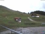 Archiv Foto Webcam Sudelfeld: Waldkopf Talstation 07:00