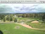 Archived image Webcam Watch tower Oberbärenburg 11:00
