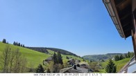 Archiv Foto Webcam Todtnauberg: Haus Keller 11:00