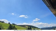Archiv Foto Webcam Todtnauberg: Haus Keller 11:00