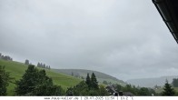 Archived image Webcam Todtnauberg: guest house Keller 11:00