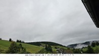 Archiv Foto Webcam Todtnauberg: Haus Keller 11:00