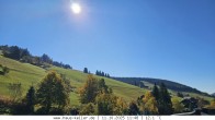 Archiv Foto Webcam Todtnauberg: Haus Keller 11:00