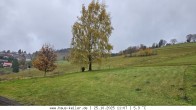 Archiv Foto Webcam Todtnauberg: Haus Keller 11:00