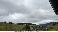 Archived image Webcam Todtnauberg: guest house Keller 11:00